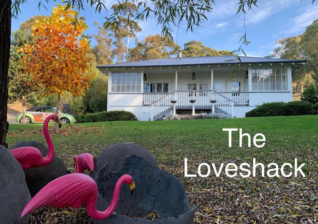 Havelock North House | The Loveshack