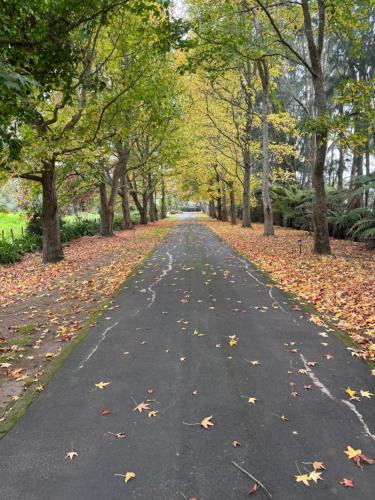 Kumeu Cabin | Willows Reach Lodge