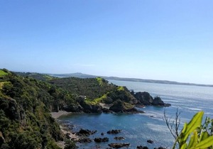 Central Oneroa Beach Village Cottage, Sunny Studio