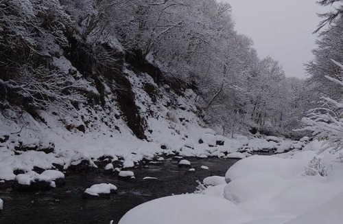 Hakusan National Park House | 一色の森プライベートサウナからまつ山荘 Shirakawago Takayama Issiki forest