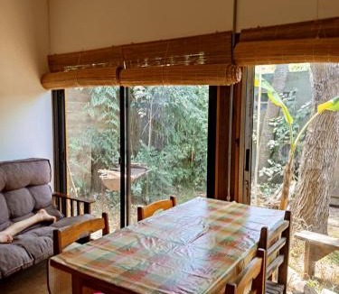 El Tesoro Apartment | El Barco