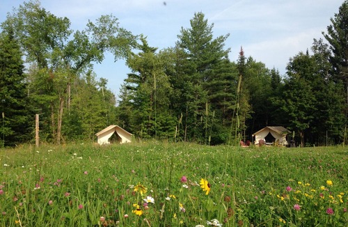 North River Cabin | GLAMP SUZANNE: CANVAS CABIN ON PRETTY ADIRONDACK FARM OFFERS PRIVACY AND VIEWS