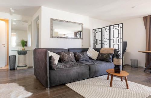 Uster District Apartment | Luxury Business Apartment with 2 Monitors and Parking
