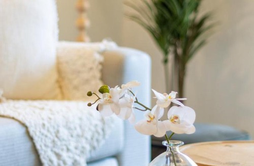 Christchurch City Centre Apartment | Vibrant Central Christchurch Pad 2 bed 1 bath with park
