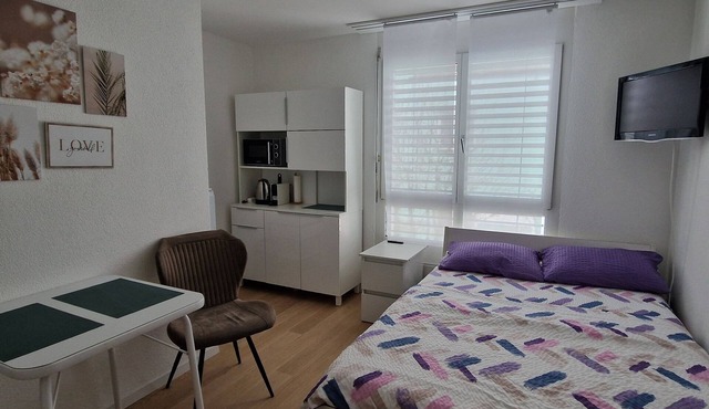 1 room studio with private bathroom and near the rhein