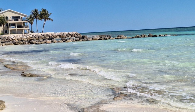 2-bdrm condo in Freeport, steps from the pool and beach with beach chairs &WiFi.