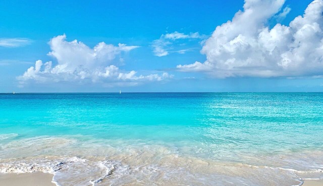 #4203 OCEANFRONT, Coral Gardens -Grace Bay Beach