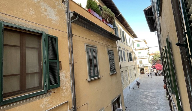 Artemisia Pisa