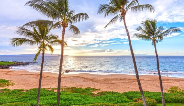 Beachfront Condo B303
