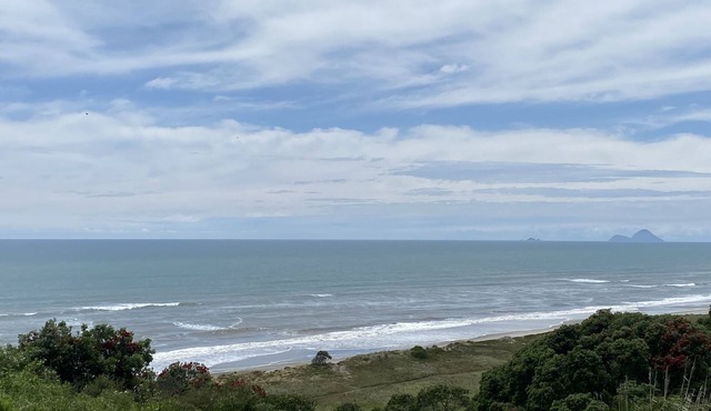 Beachfront Pacific - Rustic Coastal - Guest Suite.