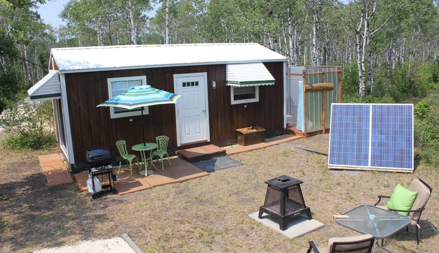 Blue Owl Tiny house