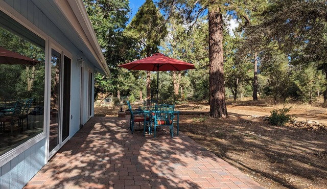 Bordering the National Forest - Air Conditioning - Pets 🐾 - Hiking & Biking!