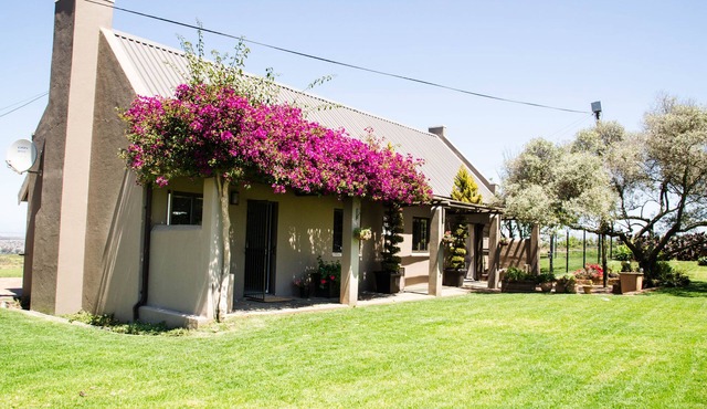 CASA BIANCA at Lavinia Lifestyle