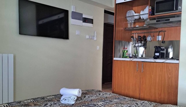 Charming studio on the sea in lovely Paleo Faliro with AC, WiFi