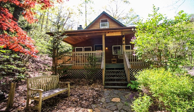 Cool Mountain Days Are Calling -3BR/2BA Creekfront Near Boone w/Hot Tub