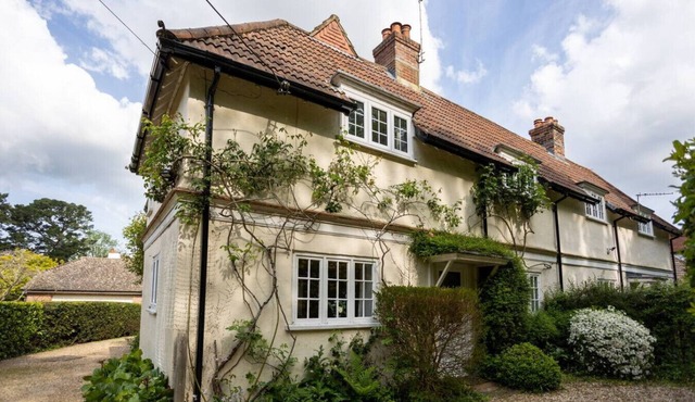 Delightful 3 bedroom cottage with forest outlook