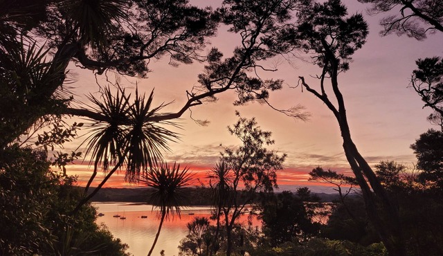 Designer Dwelling in Native Bush With Intimate Harbour Views. 13km to Matakana