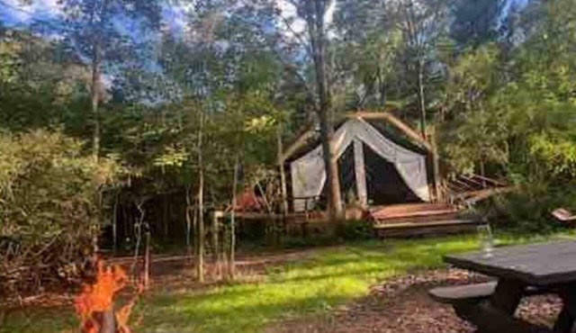 Glamping at CrowNestFarm! Private tent/Communal Bathroom. Dog Welcome