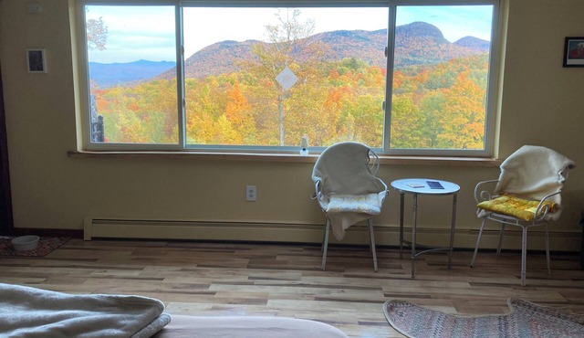 Hilltop Pet Friendly Studio in Castleton, Vermont