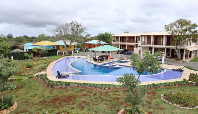 Incredible junior suites 1BR Coconuts 8