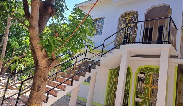 Mango tree Oasis