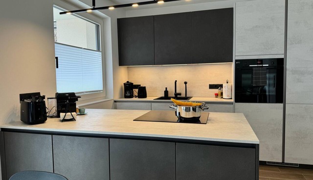 Modern apartment with large balcony. Near city center.