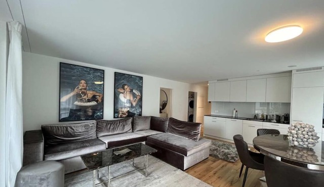 Modern Apt with top location in Kloten