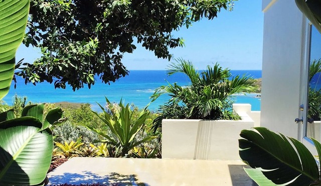 Ocean Views