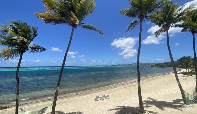 Oceanfront Sugar Beach Condo