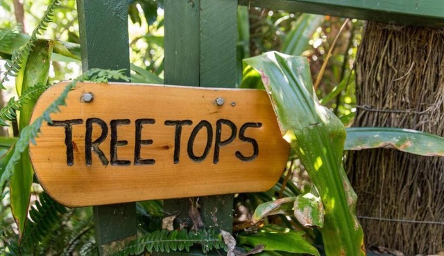Palm Beach Bungalows: Treetops