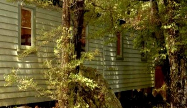 Romantic Accommodation with Shared Facilities on the Waiau River, New Zealand