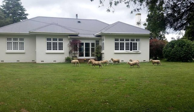 Rustic Farm Accommodation Surrounded by Gorgeous Countryside Views near Lake Karapiro, North Island