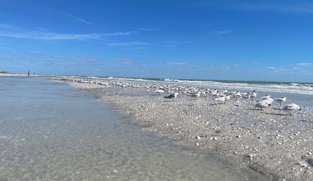 Sanibel Retreat: Splendid Home with Heated Pool & Easy Bike Access to Beach!