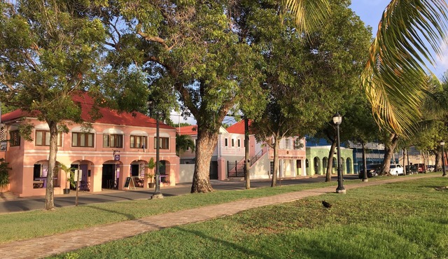 Steps from Frederiksted's Best Beaches - Cozy 1-Bedroom Retreat