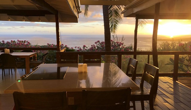 Stunning oceanview property minutes from dolphins