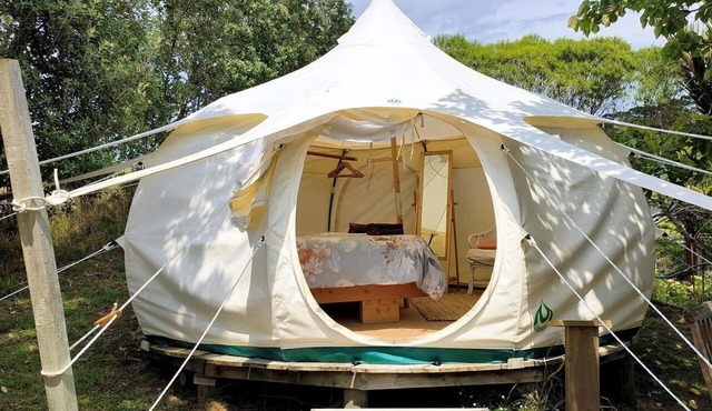 Sunny Vineyard-View Glamping with Outdoor Kitchen near Oneroa, Waiheke Island