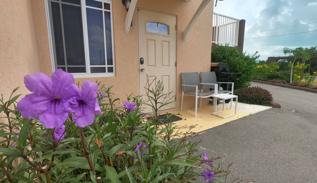 SunSeaSand - 1Bdrm Seaside Unit C - Long Bay Hills