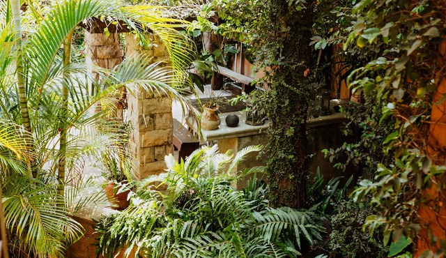 Terra Casa