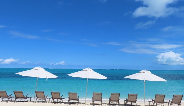 The White House TCI