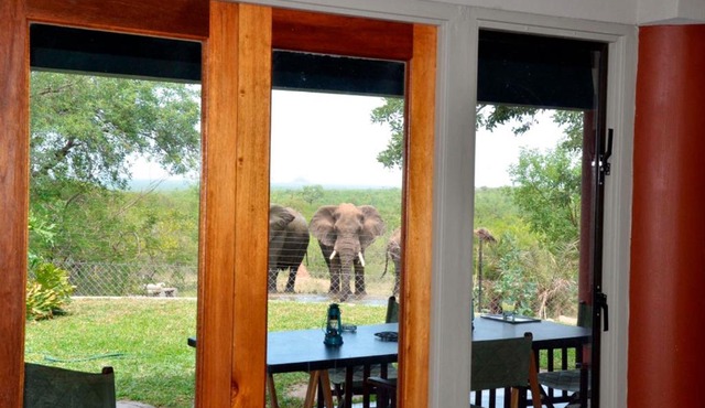 Tingala Lodge - Bed in the Bush