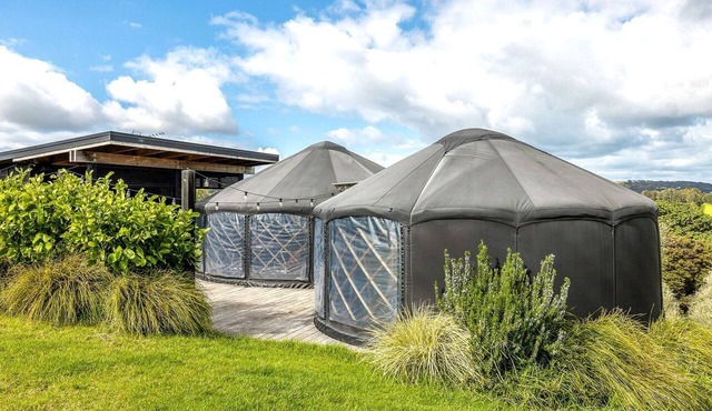 Unique Yurts with Amazing Modern Amenities for an Incredible Glamping Adventure on Waiheke Island, New Zealand