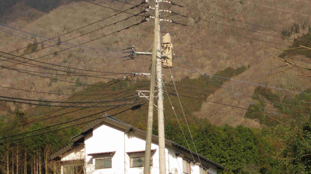 Photo of Others in Yufuin Onsen