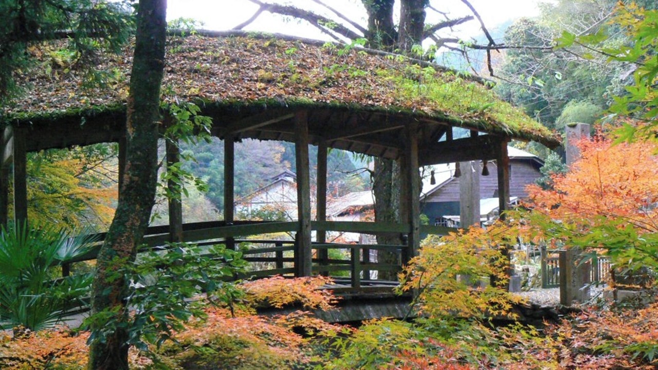 Photo of Outdoor in Ehime Prefecture
