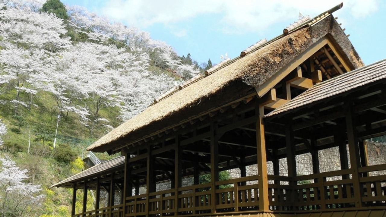 Photo of Outdoor in Ehime Prefecture