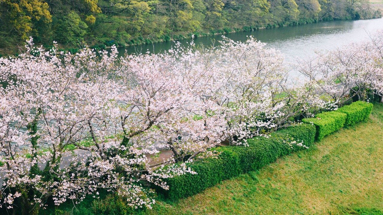 Photo of Others in Chikugo