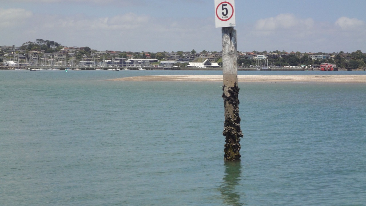 Photo of Others in Bucklands Beach