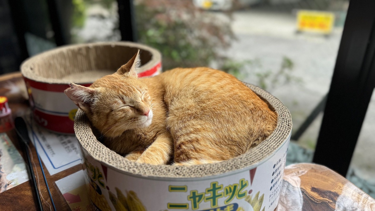 Photo of Outdoor in Yufuin Onsen
