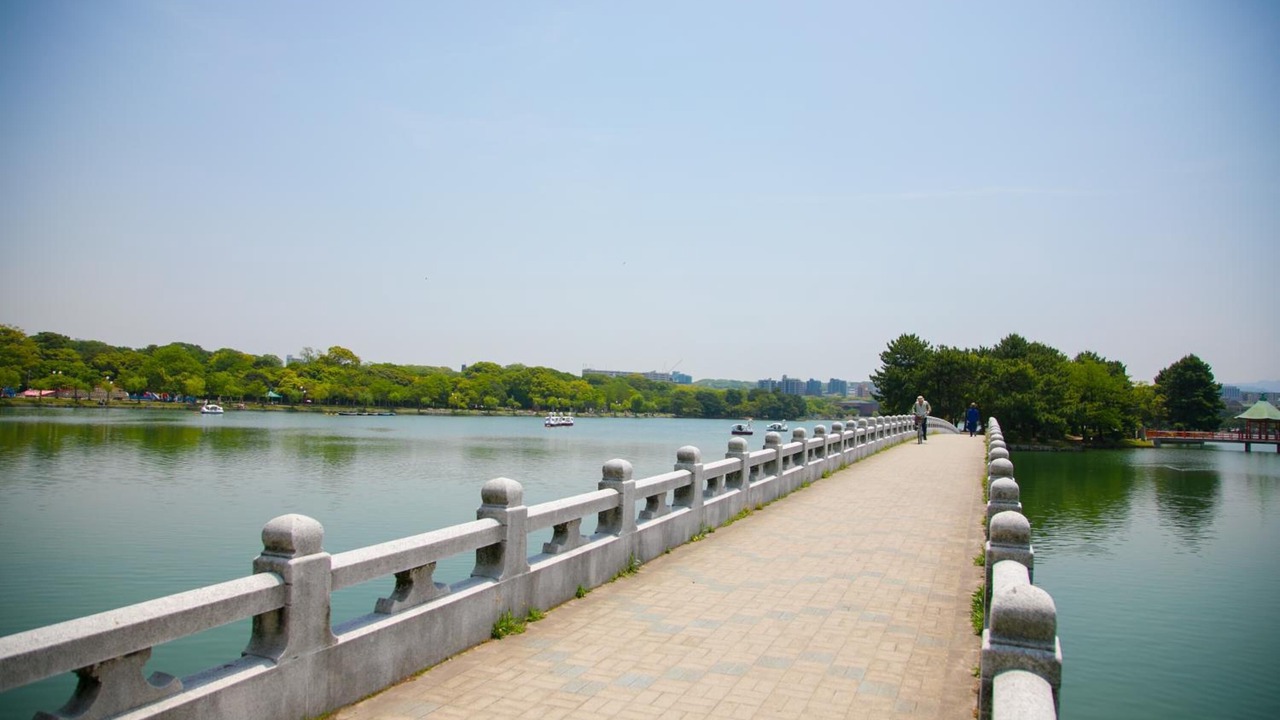 Photo of Others in Chuo-ku