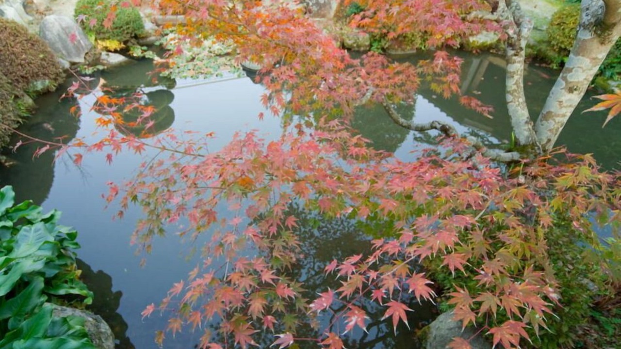 Photo of Outdoor in Yuno