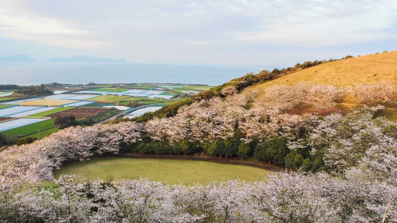 Photo of Outdoor in Goto
